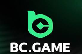 Download the BC App Your Ultimate Companion for Seamless Experience